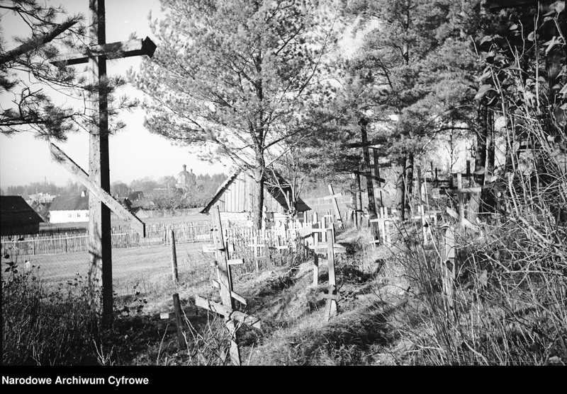image.from.unit.number "Białowieża"