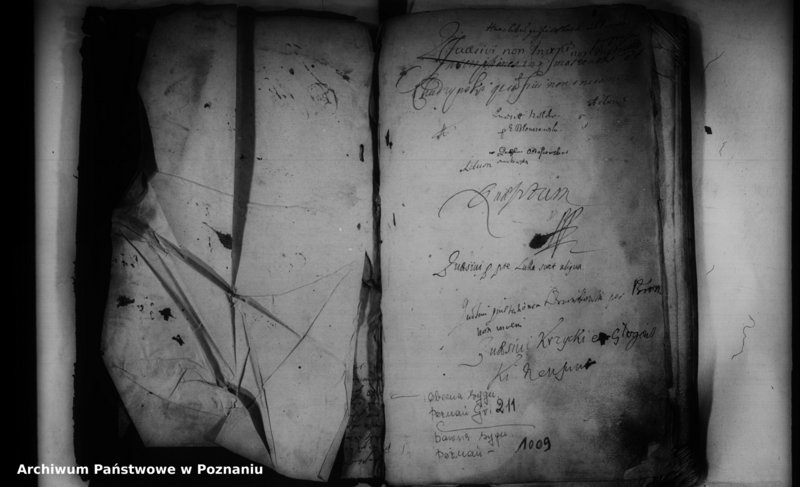 Obraz 4 z jednostki "Inscriptiones [inducta]"