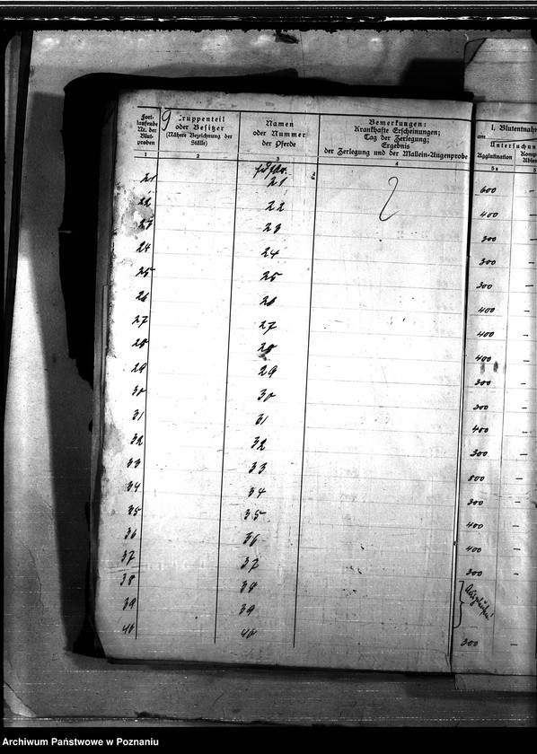 Obraz 13 z jednostki "Nosacizna - Grudziądz"