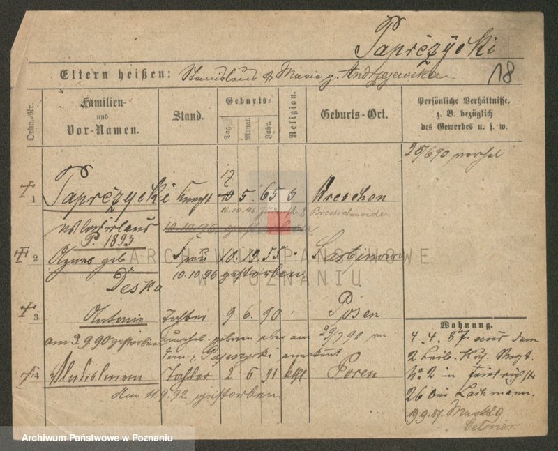 Obraz 18 z jednostki "Paprzycki - Pasiak"