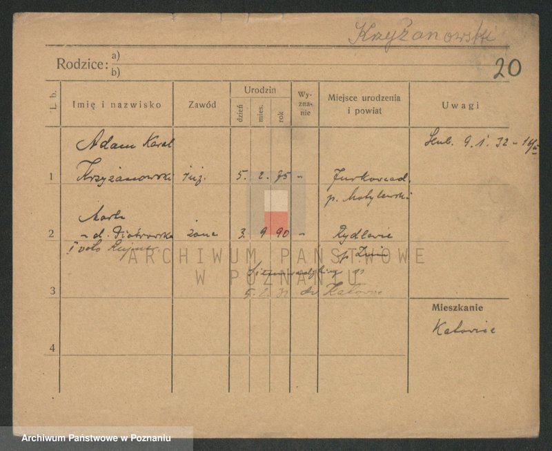 Obraz 20 z jednostki "Krzyżankiewicz - Kszyrski"