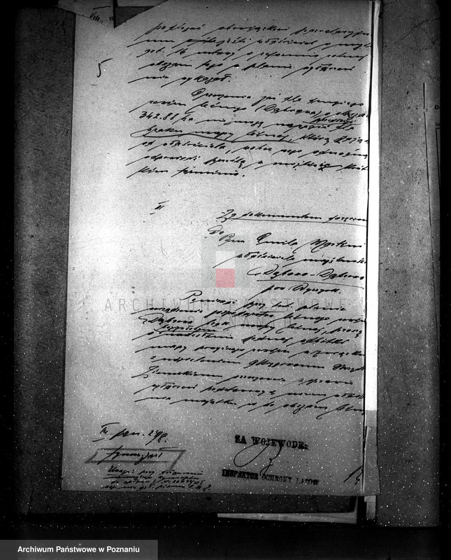 Obraz 9 z jednostki "Majętność leśna Dębowo powiat wyrzyski"