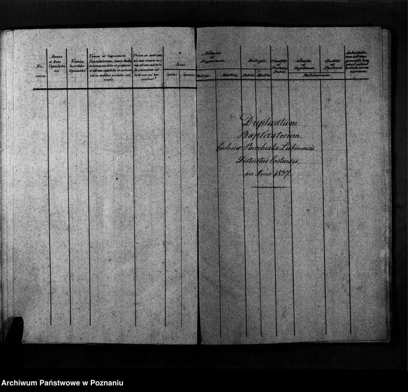Obraz 11 z jednostki "Duplicatum copulatorum, baptisatorum, mortuorum"