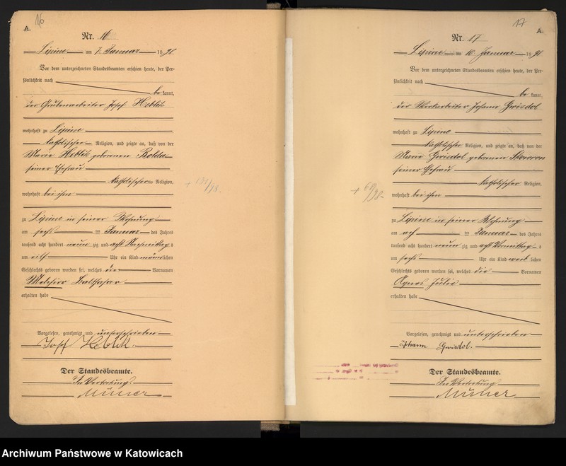 image.from.unit.number "Księga urodzeń T.1 nr 1-560"