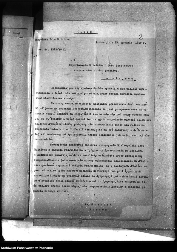 Obraz 6 z jednostki "Instytut Higieny Zwierząt w Bydgoszczy"