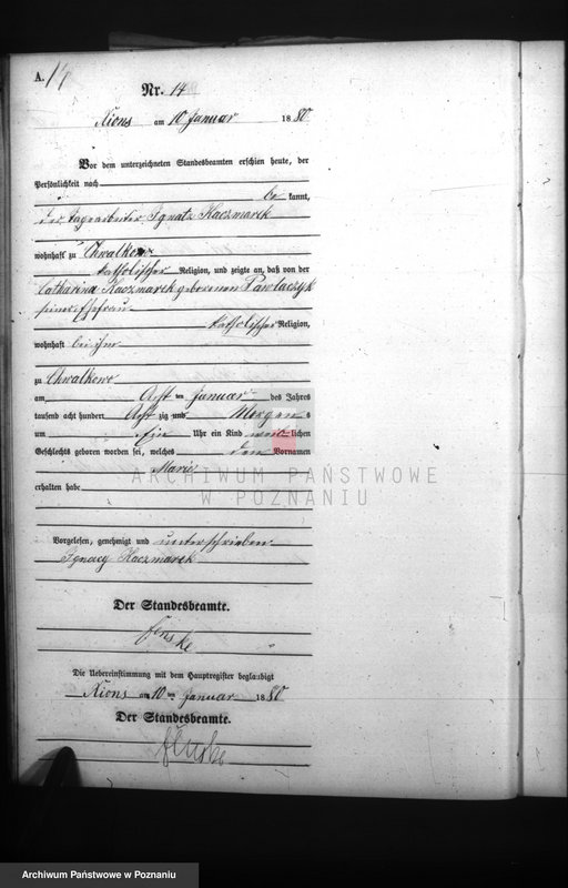 Obraz 16 z jednostki "Księga urodzeń"