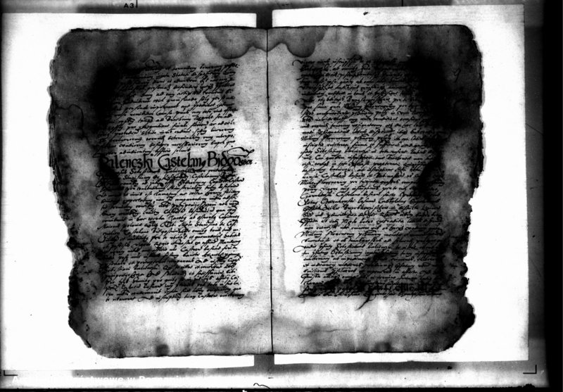 Obraz 11 z jednostki "Decreta officii [inducta]"