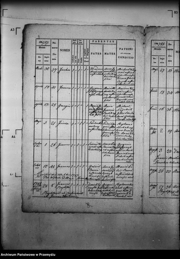 image.from.unit.number "[Kopie ksiąg metrykalnych parafii Leluchów z filią Dubne (dekanat Muszyna)]"