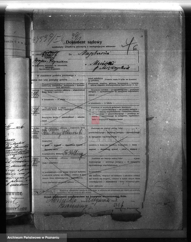 Obraz 10 z jednostki "Majętność leśna Mniszki w powiecie międzychodzkim"