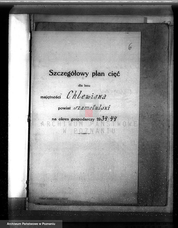 Obraz 10 z jednostki "Plan urządzenia gospodarstwa leśnego majątku Chlewiska w powiecie szamotulskim"