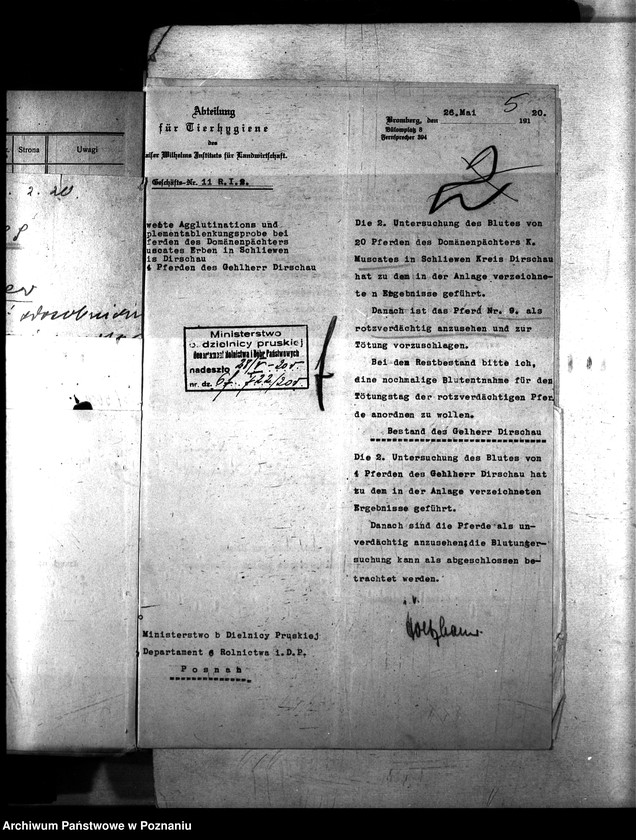 Obraz 9 z jednostki "Nosacizna - Tczew"