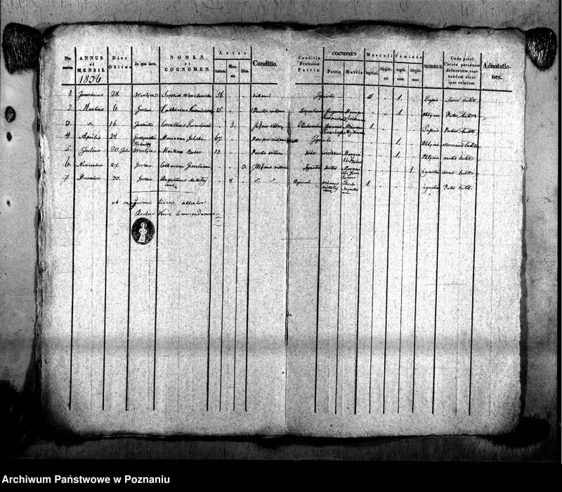 Obraz 9 z jednostki "Duplikat urodzonych, zaślubionych i zmarłych"