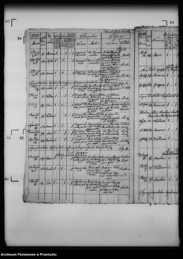 Obraz 8 z jednostki "[Kopie ksiąg metrykalnych parafii Desznica z filią Brzezawa (dekanat Dukla)]"