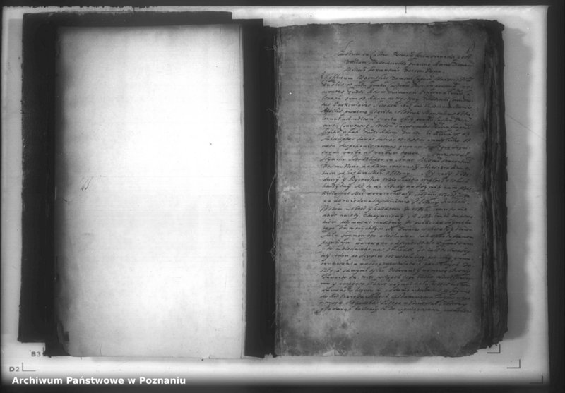 Obraz 3 z jednostki "Lauda [acticantia]"