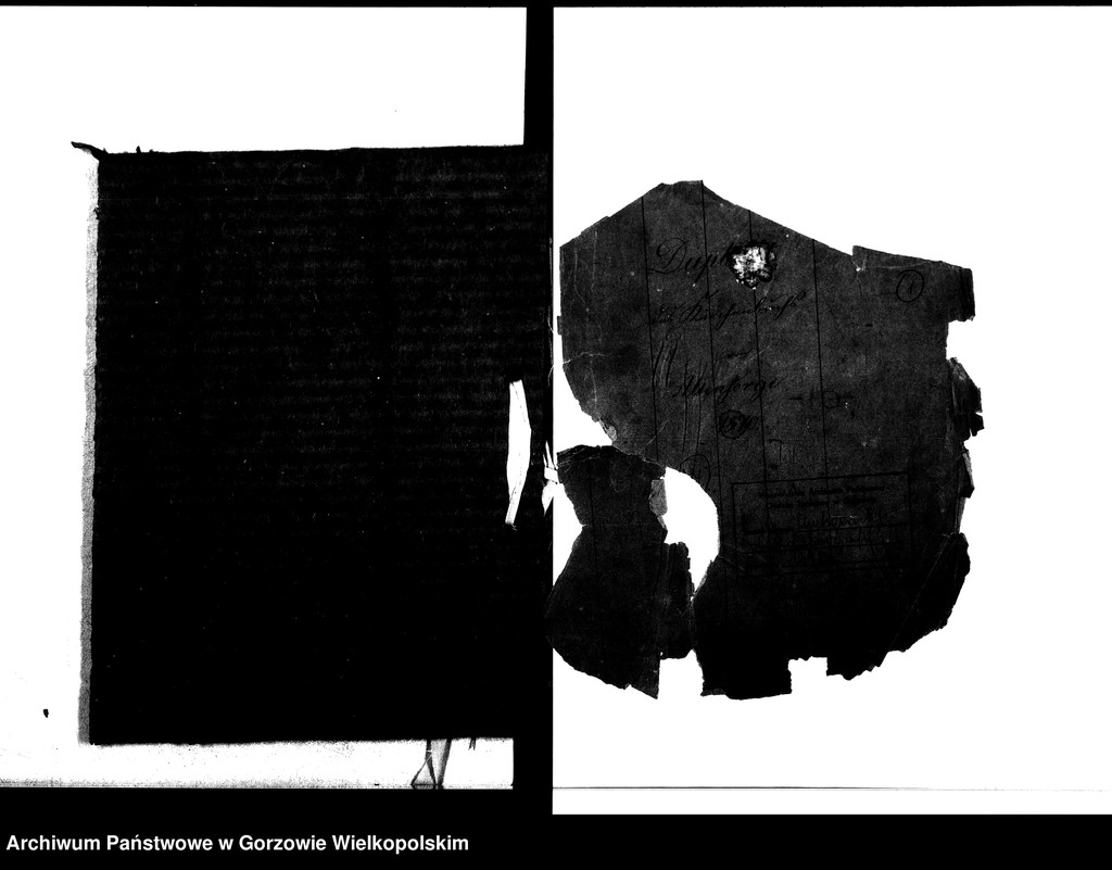 image.from.unit.number "Duplikate der Kirchenbücher von der Parochie Altensorge: Altensorge (Glinik), Blockwinkel (Bolemin), Plonitz (Płonica), Hagen (Dziersławice), Bürgerbruch (Białobłocie), Kattenhorst (Orzelec), Liebenthal (Kołomęt), Schönewald (Krasowiec)"