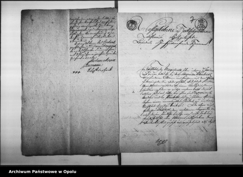 Obraz 8 z jednostki "Acta wegen Verbothswidrigen Hausirens mit Citronen und Feigen des Peter Loserts"