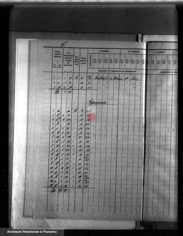 image.from.unit.number "Plan urządzenia gospodarstwa leśnego dla lasu majętności Biezdrowo powiat szamotulski"