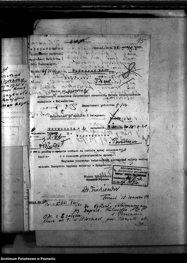 Obraz 19 z jednostki "Nosacizna - Tczew"