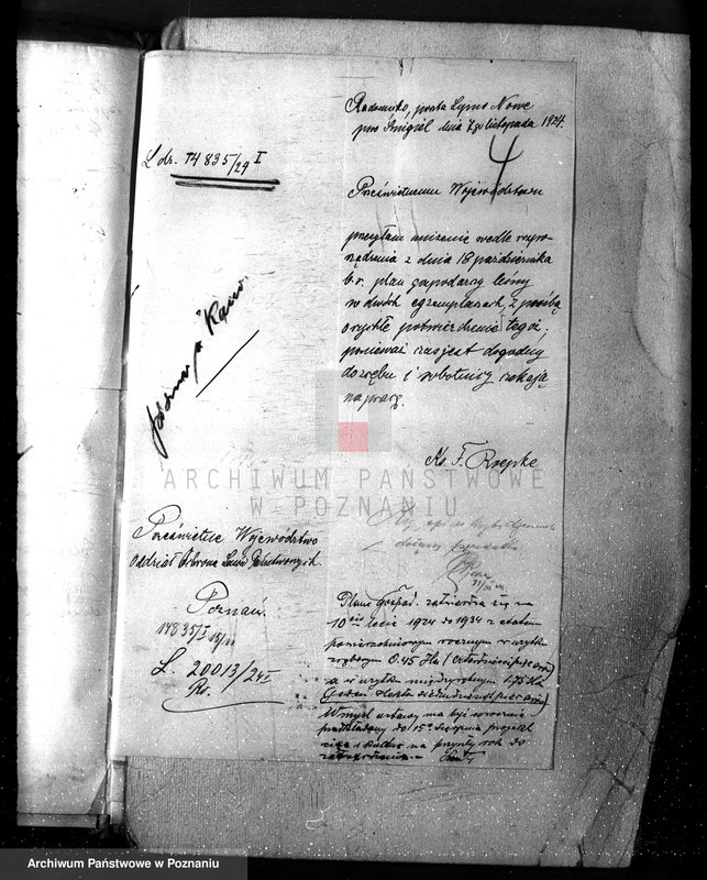 Obraz 8 z jednostki "Las parafialny kościoła w Radomicku powiat kościański"