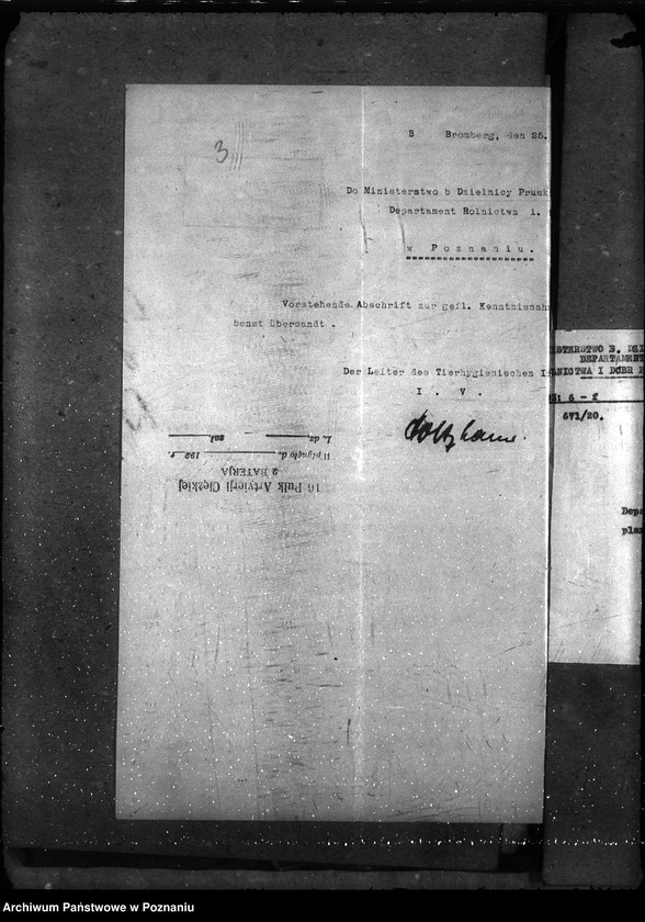 Obraz 6 z jednostki "Sprawy szczegółowo-Nosacizna"