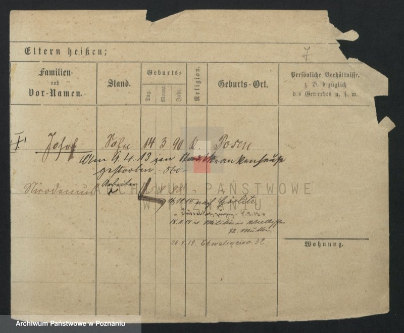 Obraz 7 z jednostki "Kowandy - Kozber"