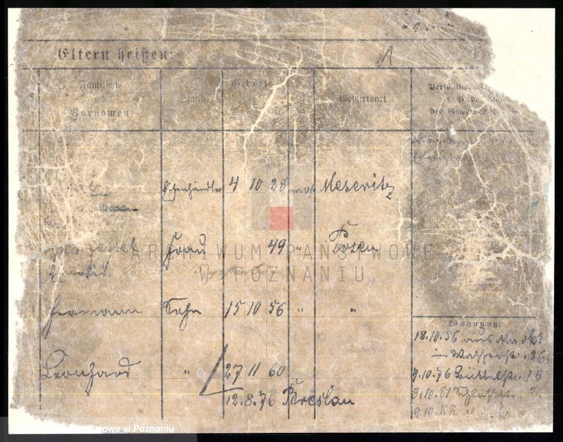 Obraz 3 z jednostki "Bab - Baczkiewicz"