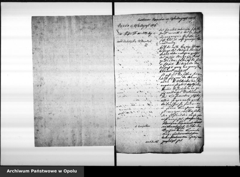 Obraz 11 z jednostki "Acta des Magistrats zu Oppeln betreffend die Manquements des Magazin Rendanten Schreiber pro 1816 Vol. I"