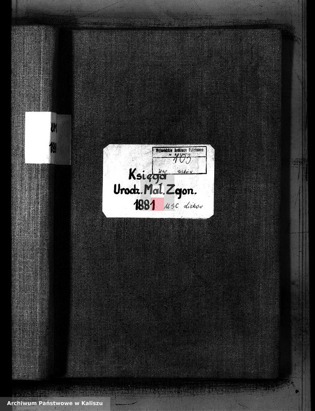 image.from.unit.number "Księga urodzeń, małżeństw, zgonów (duplikat)"