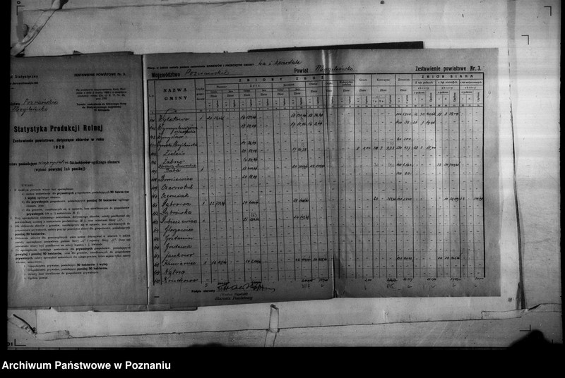 Obraz 18 z jednostki "/Statystyka produkcji rolnej - zestawienie powiatowe - Mogilno/"