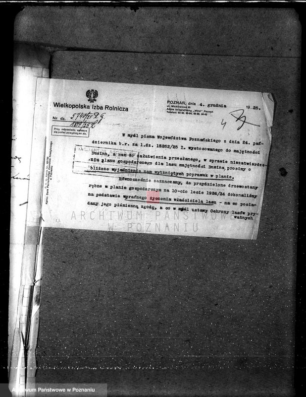 Obraz 8 z jednostki "Nadzór nad gospodarką w lasach majątku Dusina w powiecie gostyńskim"