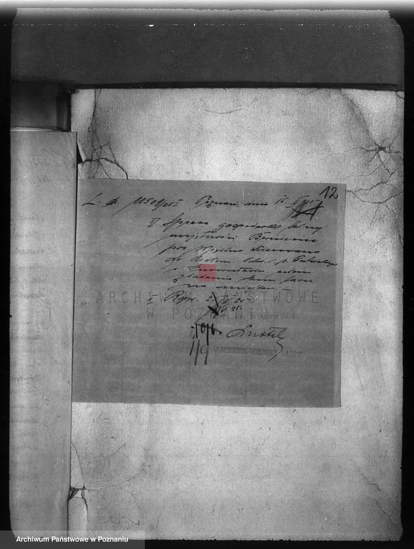 Obraz 16 z jednostki "Majętność leśna /Bronie wiec/ powiat mogileński"