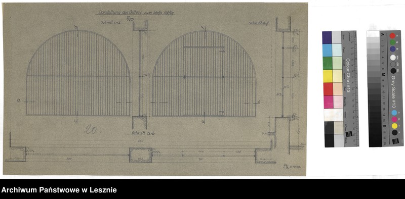 Obraz 6 z jednostki "Leszno miasto. Dokumentacja projektowa ogrodu zoologicznego."