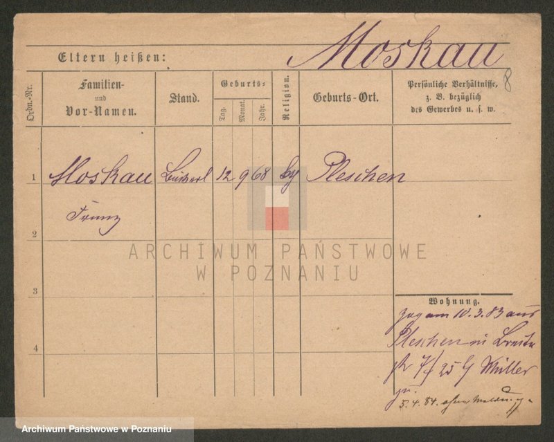 Obraz 8 z jednostki "Moskalski - Możuch"