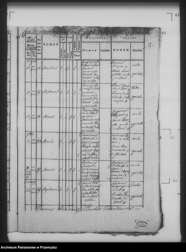 Obraz 13 z jednostki "[Kopie ksiąg metrykalnych parafii Żużel (dekanat Bełz)]"