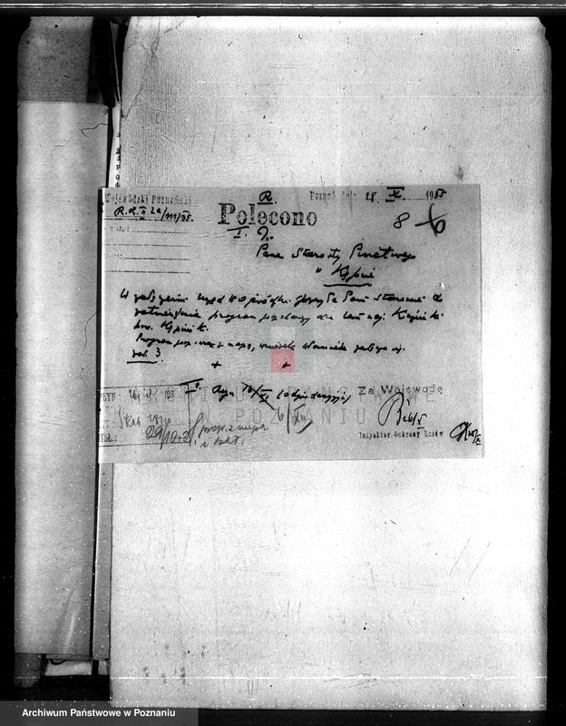 Obraz 12 z jednostki "Lasy majątku Kuźniki powiatu kępińskiego"