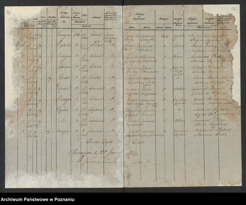 Obraz 11 z jednostki "Liber baptisatorum"