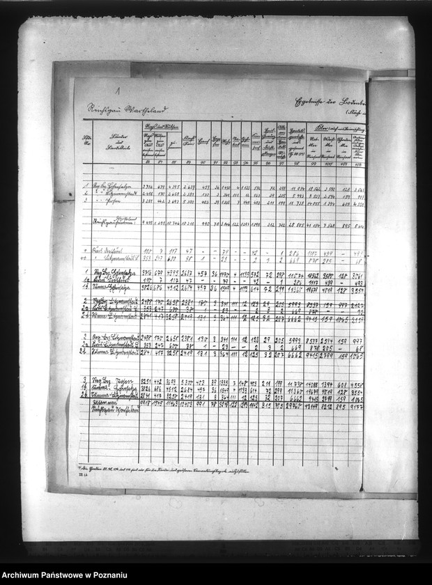 Obraz 4 z jednostki "Statystyka użytków rolnych w Kraju Warty"