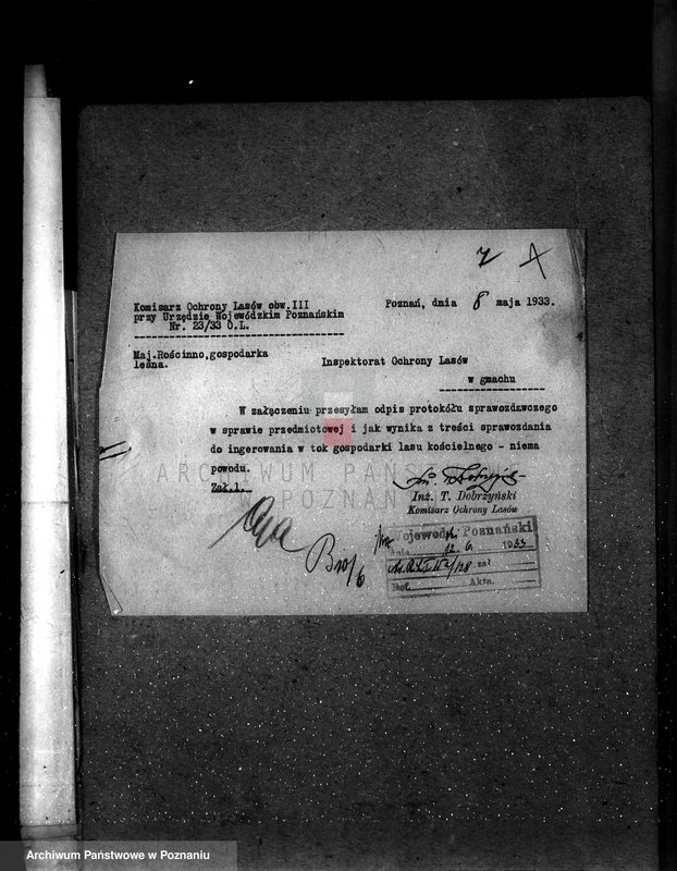 Obraz 11 z jednostki "Nadzór nad gospodarką w lasach majętności Rościnno powiat wągrowiecki"