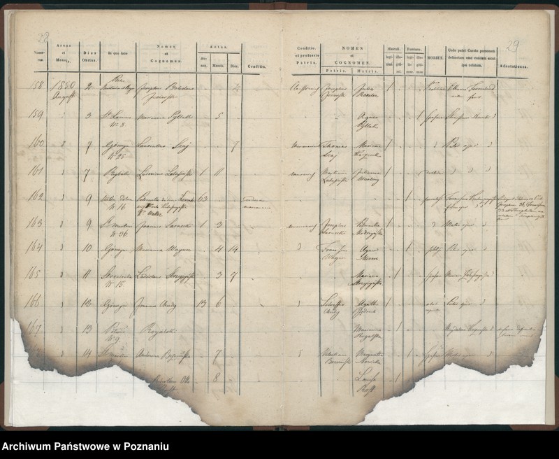 Obraz 17 z jednostki "Księga zgonów"