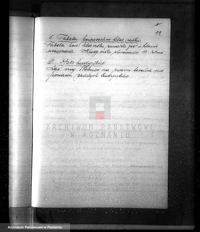 Obraz 15 z jednostki "Plan urządzenia gospodarstwa leśnego dla lasu majętności Piotrowo powiat szamotulski 1934-1944"