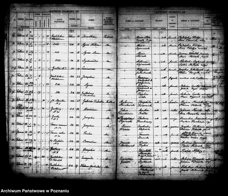 Obraz 6 z jednostki "Księga urodzin"