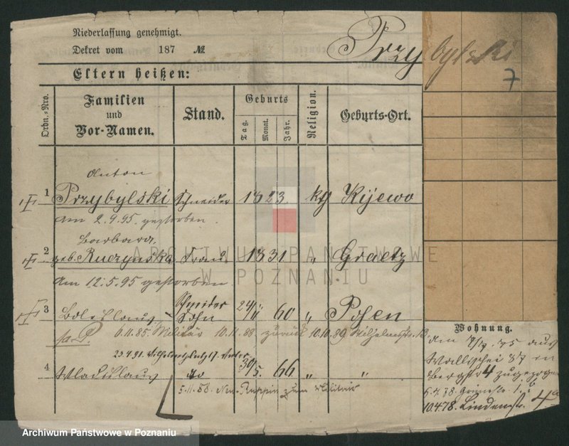 Obraz 9 z jednostki "Przybylski (żonaci - samotni mężczyźni do Gustaw)"