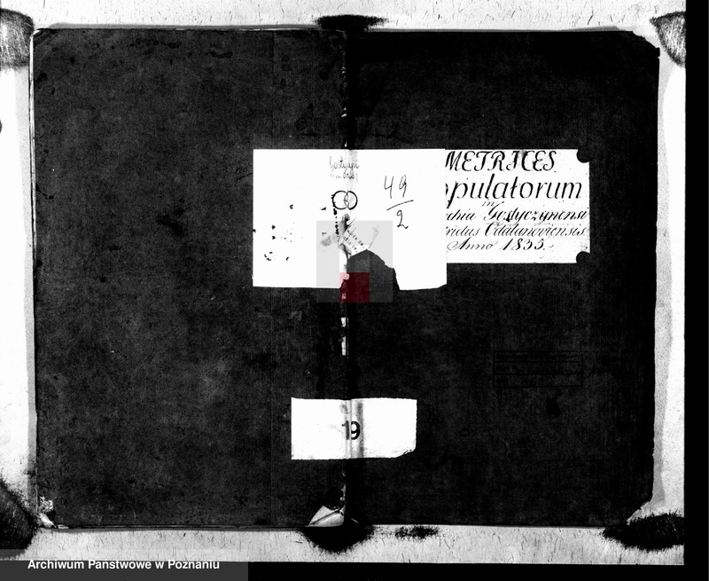 image.from.unit.number "Metrices copulatorum"