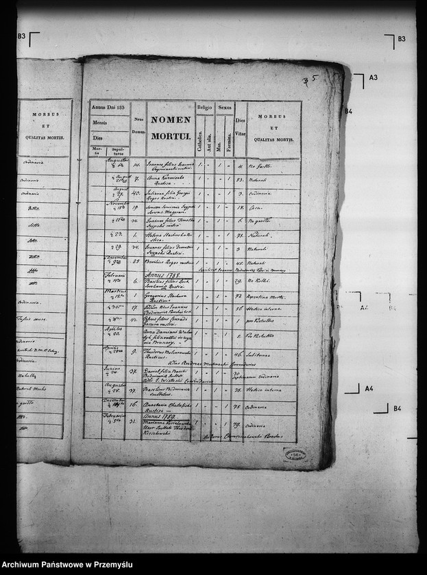 image.from.unit.number "[Kopie ksiąg metrykalnych parafii Brunary Wyżne z filiami Brunary Niżne, Czarna, Jaszkowa (dekanat Grybów)]"