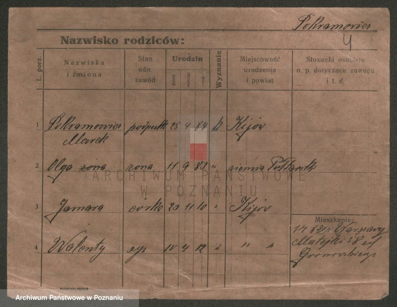 Obraz 4 z jednostki "Pokramowicz - Pol (żonaci - samotni mężczyźni)"