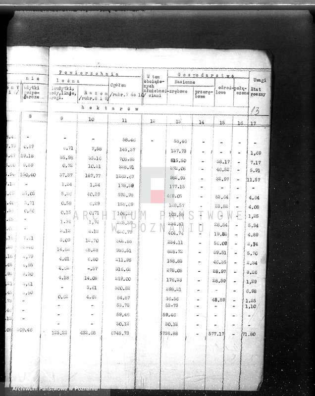 Obraz 17 z jednostki "/Nadzór nad gospodarką leśną sprawy ogólne/"