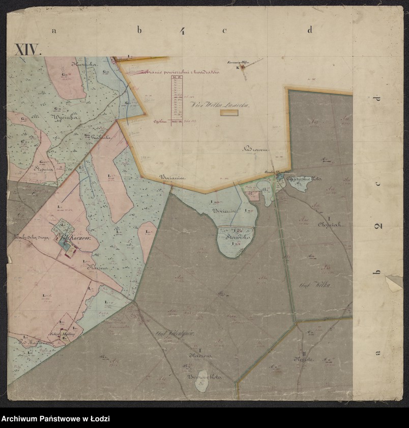 Obraz 13 z jednostki "Pierworys pomiaru dóbr prywatnych Nieborów składających się z folwarków Nieborów, Zygmuntów, Łasieczniki, Jasionna, Wólka Łasiecka, Kaczew, Polesie, Chyleniec ... oraz przyległych lasów ..."