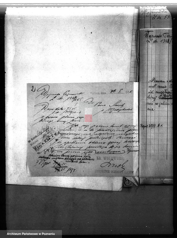 Obraz 6 z jednostki "Majętność leśna Ławica w powiecie międzychodzkim /nadzór nad gospodarką leśną/"