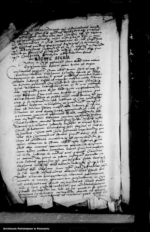 Obraz 6 z jednostki "Inscriptiones, relationes, decreta [inducta]"