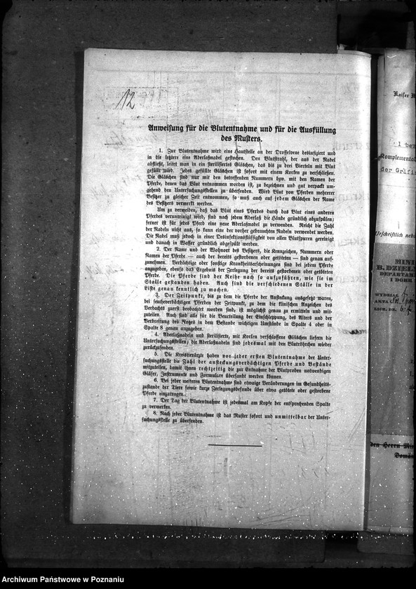 Obraz 16 z jednostki "Nosacizna - Bydgoszcz"